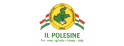 logo il polesine