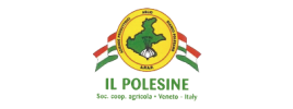 logo-il-polesine logo il polesine
