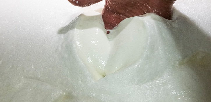Lavorazione Provolone Coagulazione
