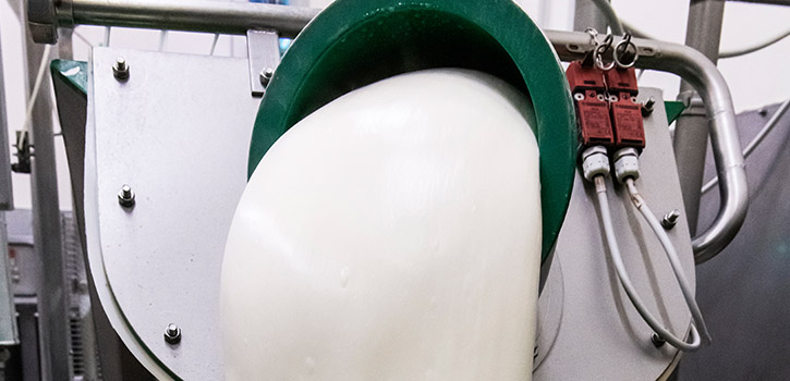 Lavorazione Provolone Filatura pasta