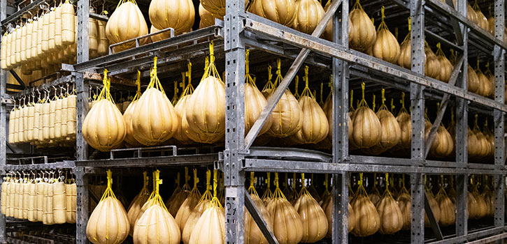 Lavorazione Provolone stagionatura