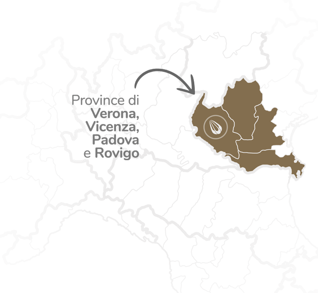 provolone-mappa-zona-2