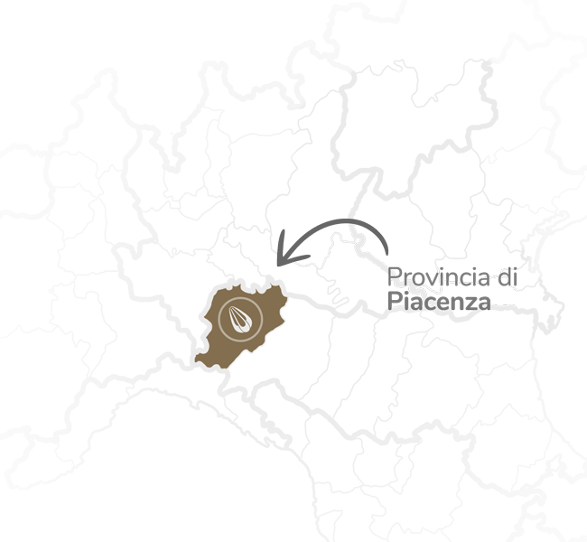 provolone-mappa-zona-3