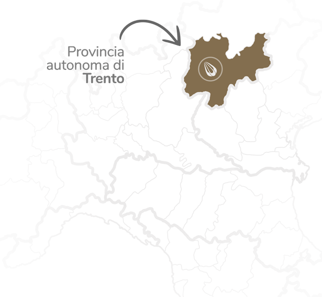 provolone-mappa-zona-4