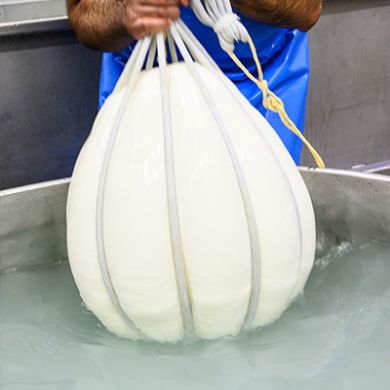 Processing of Provolone Valpadana PDO