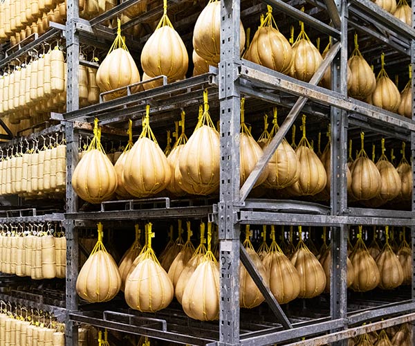 Lavorazione del Provolone la stagionatura