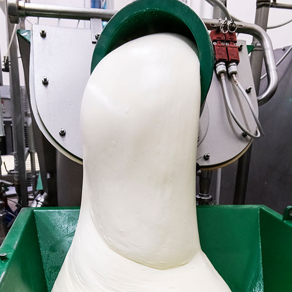 Processing of Provolone Spinning