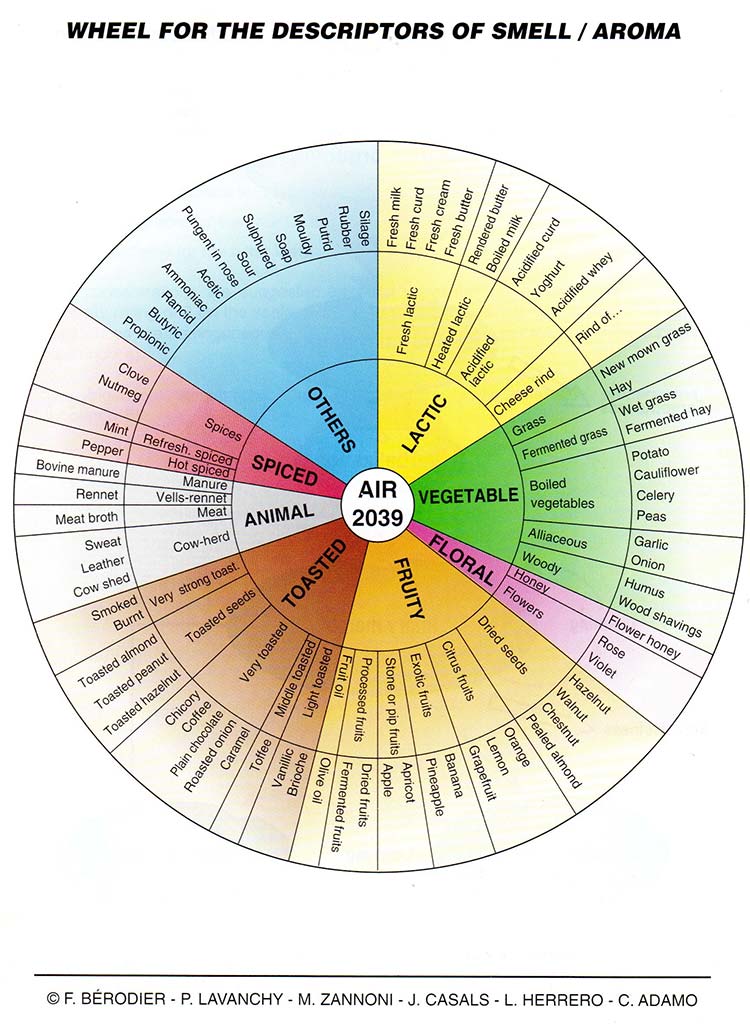 Tasting tips Provolone Valpadana aroma wheel