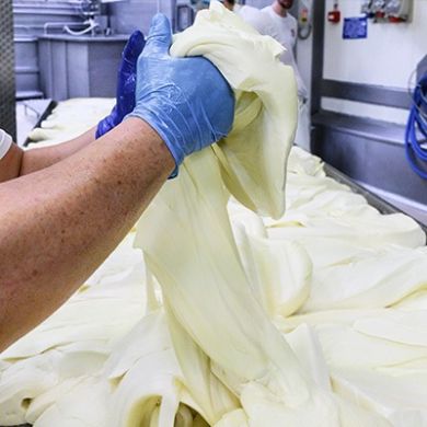 Processing of Provolone pasta for spinning