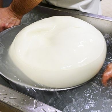 Provolone forming processing